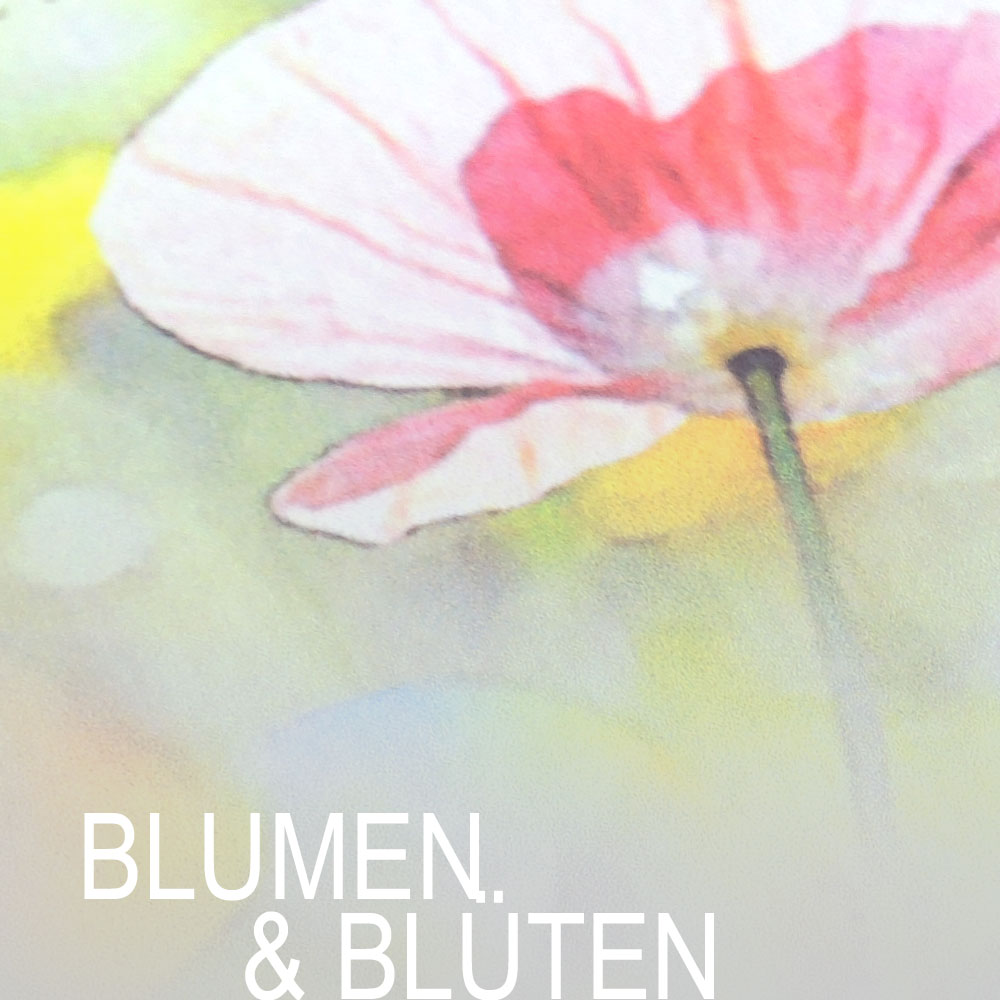 Blumen & Blüten
