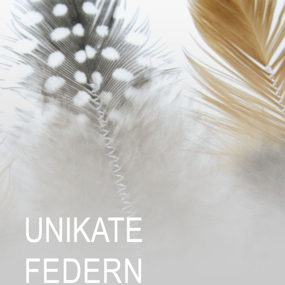 UNIKATE-Federn